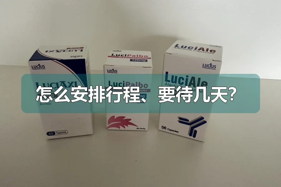 怎么安排行程、要待几天？